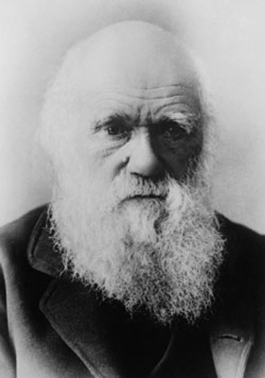 Darwin